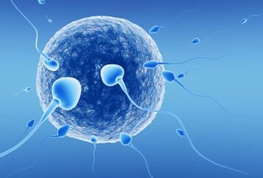Fertility Clinic Punjab