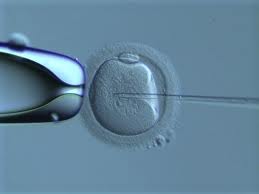 IVF Treatment Jalandhar,Infertility Clinic,IVF Clinic Cost in Punjab 